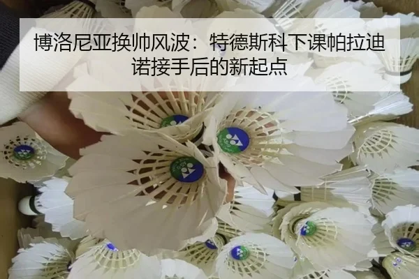 博洛尼亚换帅风波：特德斯科下课帕拉迪诺接手后的新起点